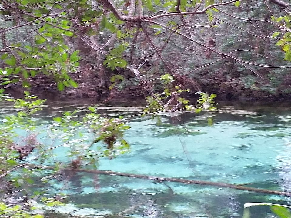 7287 Crystal Spring Run, Weeki Wachee, FL 34607 Zillow
