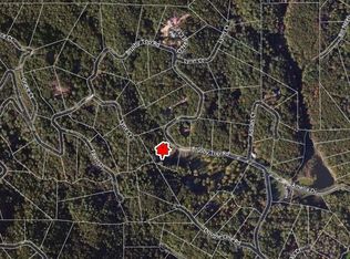 767 Brushy Top Rd #6716, Ellijay, GA 30540
