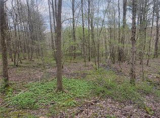 Clarence Church Rd, South Otselic, NY 13155