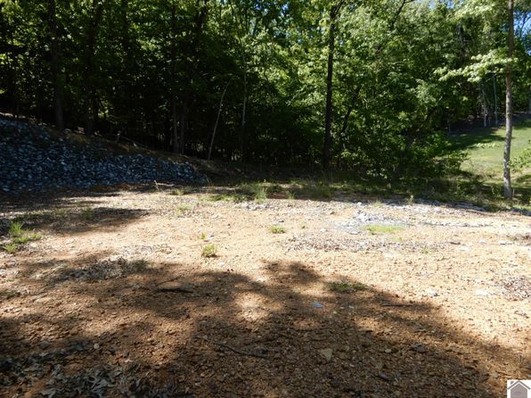 7-8 Roy Harris Rd, Kuttawa, KY 42055