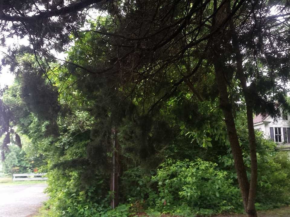 2nd image of 940 Shunpike Rd
