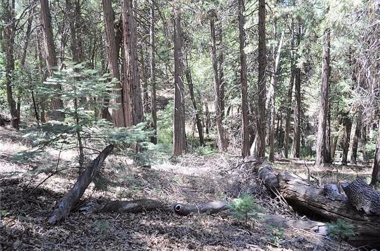 2nd image of Deer Run Rd