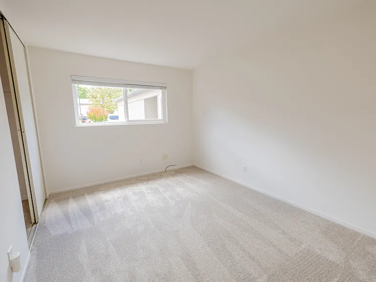 2203 Mesquite Dr — Photo 5