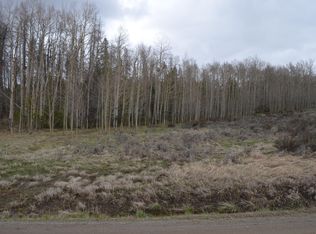 2064 Gcr #88, Granby, CO 80446