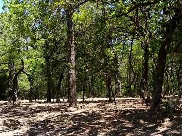 1194 Aspen Dr, Caldwell, TX 77836