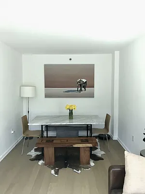 Rented by NY Living Solutions | media 28