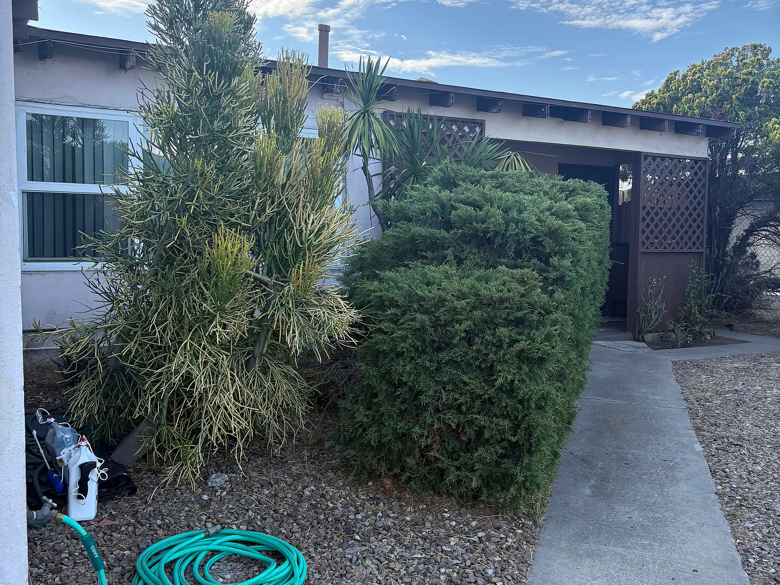 2 bed, 820 sqft, $2,995 — Photo 3