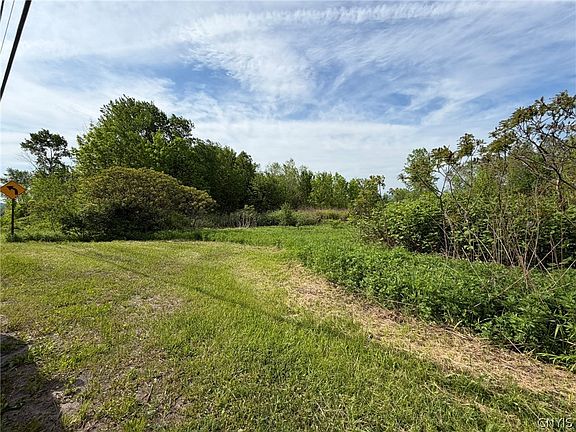 5th image of Morgan Rd Lot 18