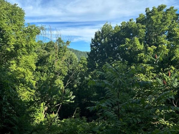 Veterans Rd, Tannersville, VA 24377