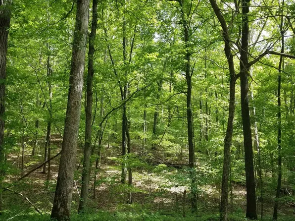 0 Irma White Rd, Marion, KY 42064