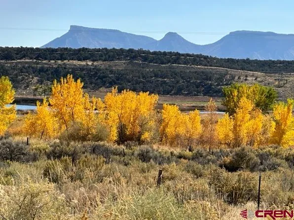 10574 Road 29, Cortez, CO 81321
