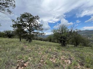 102 Apache Mountain Trl, Fort Davis, TX 79734