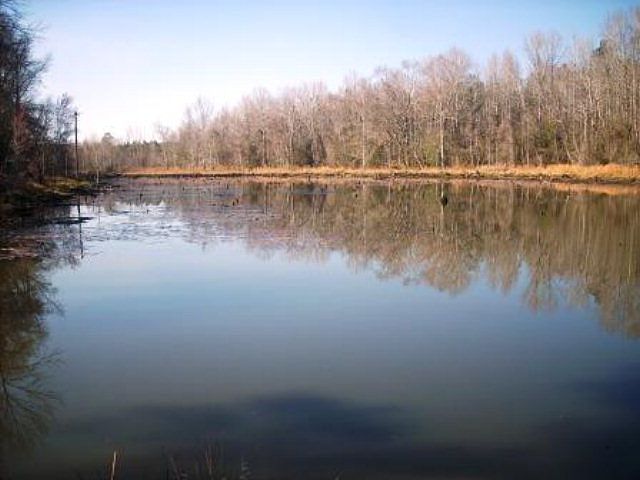 2nd image of 294 State Highway 192 N