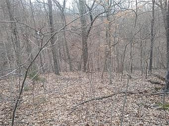 4th image of 525 Tower Valley Dr