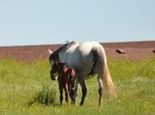Tbd Royal Run #45, Box Elder, SD 57719