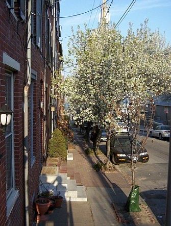 View from the front stoop