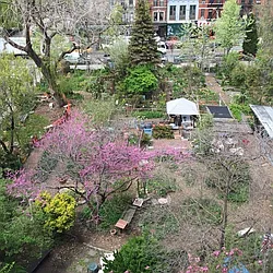 Rented by The Ave Agency, LLC