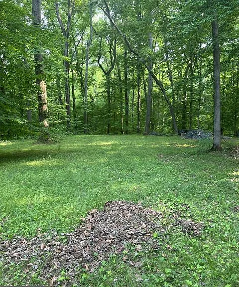 1007 Lee Jackson Dr — Photo 25
