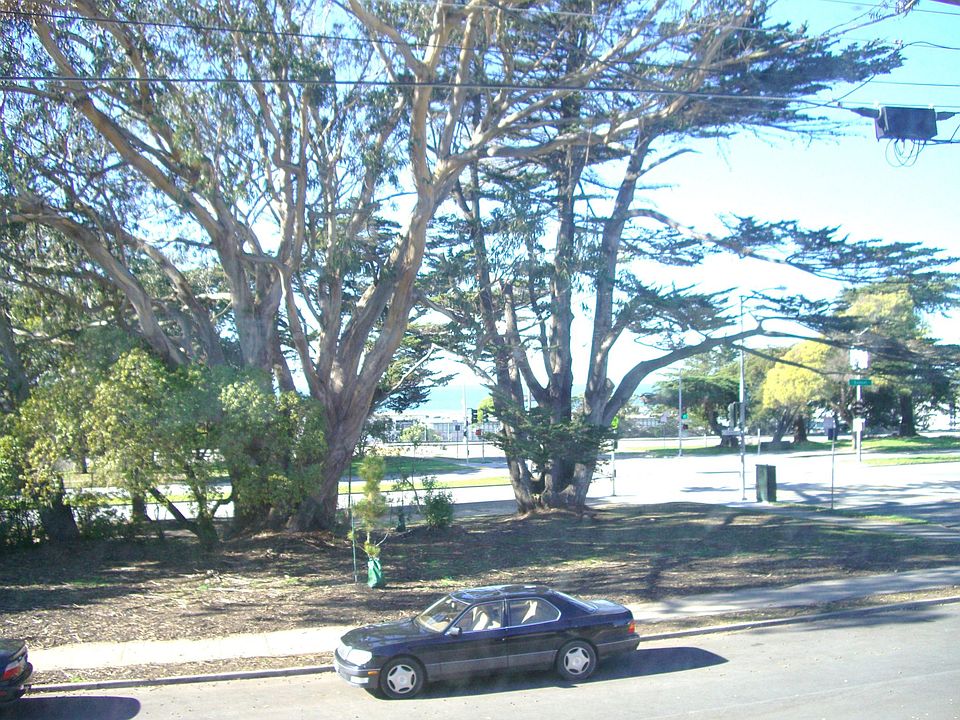 1st image of 2010 36th Ave