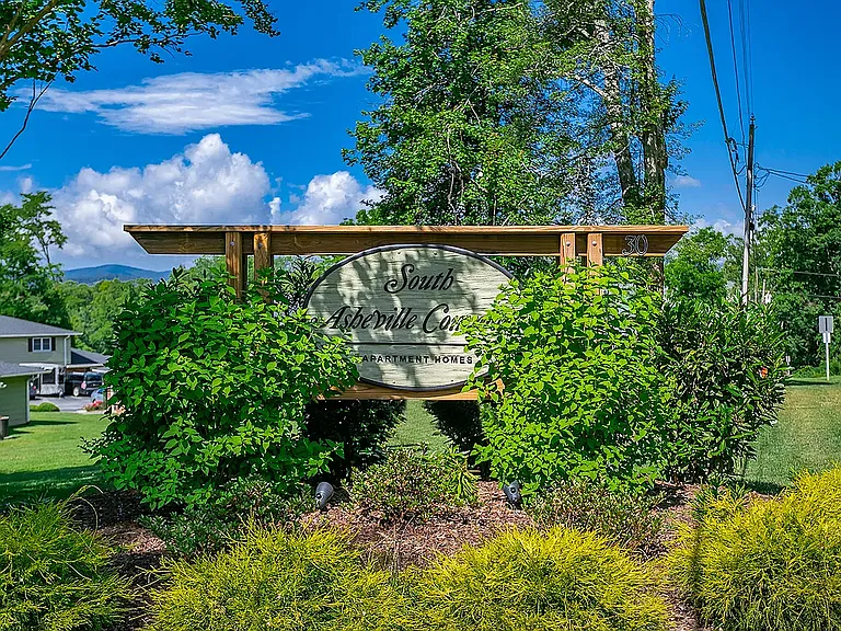South Asheville Commons — Photo 1
