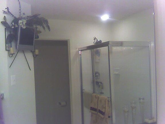 Shower in Master Suite