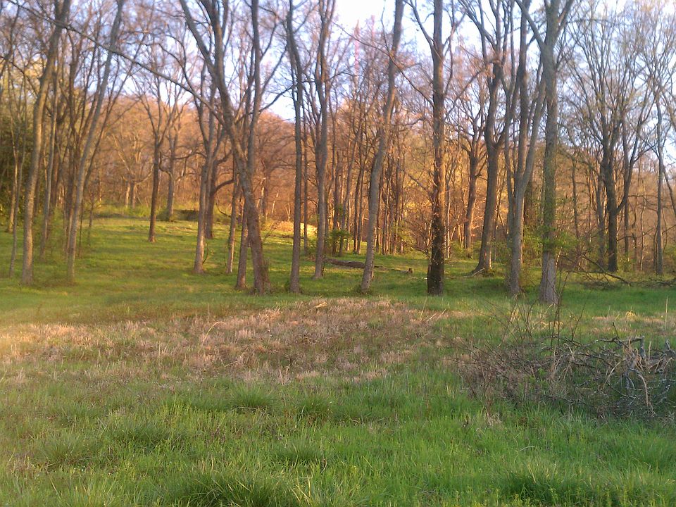 2nd image of 1408 Old Hickory Blvd