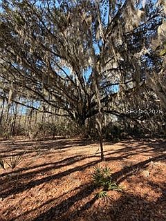 2nd image of 1007 May River Rd