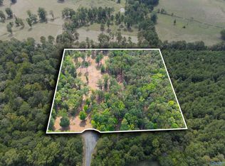 7 County Rd #497, Centre, AL 35960