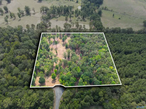 7 County Rd #497, Centre, AL 35960