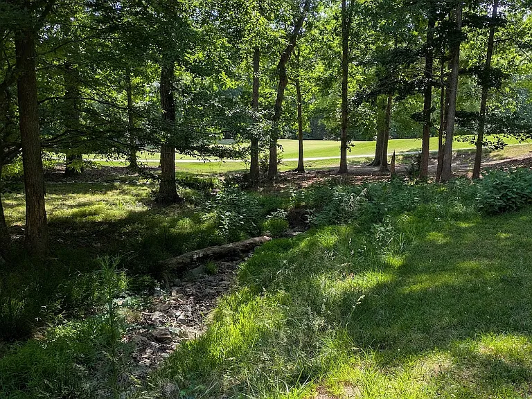 View towards fairway including stream area.