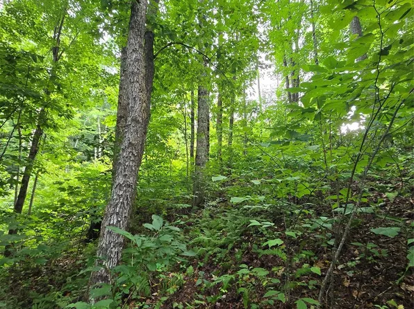 108 Tenderfoot Trl #108 & 109, Maggie Valley, NC 28751