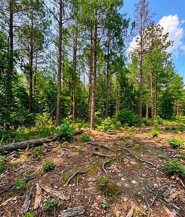 1st image of 122 Southern Locust Trail