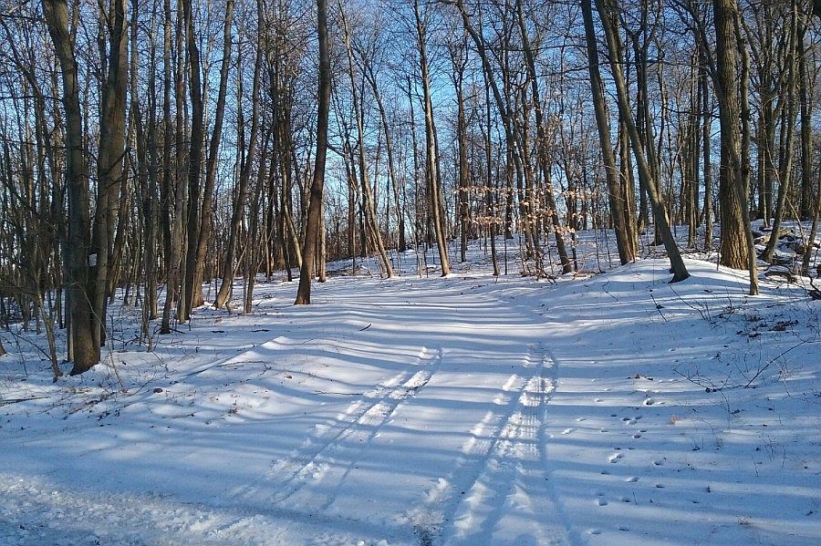 2nd image of 249 Wissinger Rd