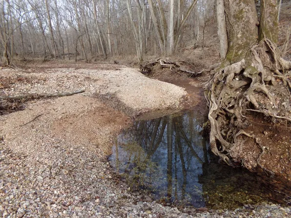 000 Jj Highway, Rocky Comfort, MO 64861