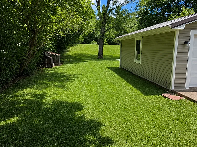 Backyard side of garage view