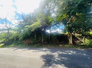 Urb Hacienda La Cima Ceiba St #17, Cidra, PR 00739