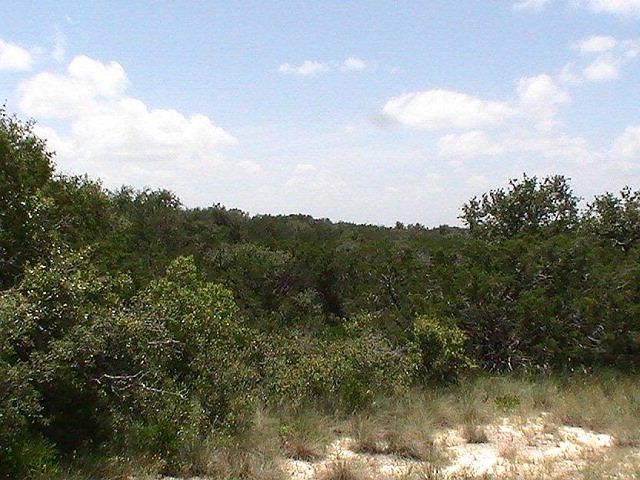 1st image of 210 County Road 398