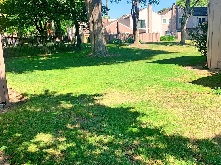 Grassland right outside of the backyard