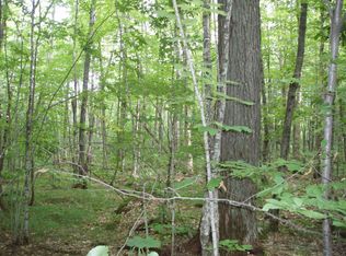 Bear Lake Rd, Butternut, WI 54514