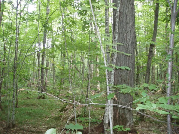 Bear Lake Rd, Butternut, WI 54514