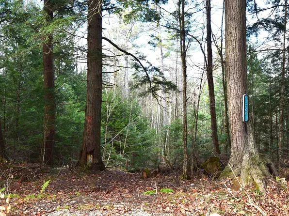 181 Carr Road #142, Haverhill, NH 03785