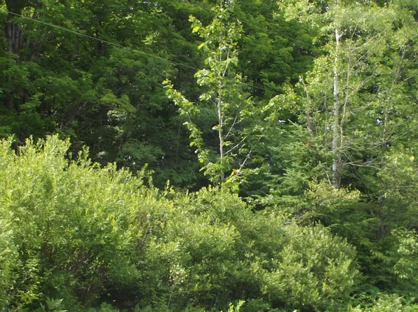Lots 1&4 Dream Lake Rd, Laona, WI 54541