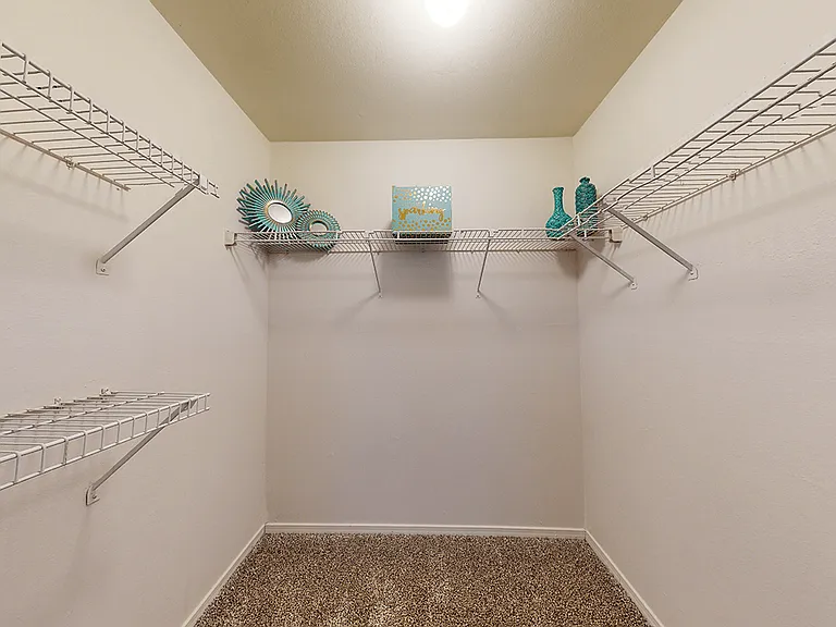 Walk-In Closet!
