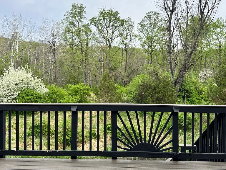 516 Meadow Hall Dr #516 — Photo 27