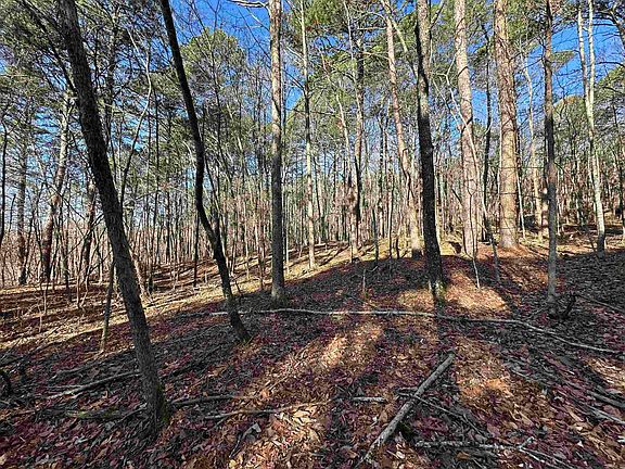 2nd image of 0 Bear Mountain Rd