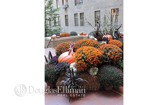 Rented by Douglas Elliman | media 17