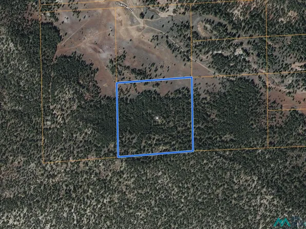 Forest Rd #157, Bluewater, NM 87005