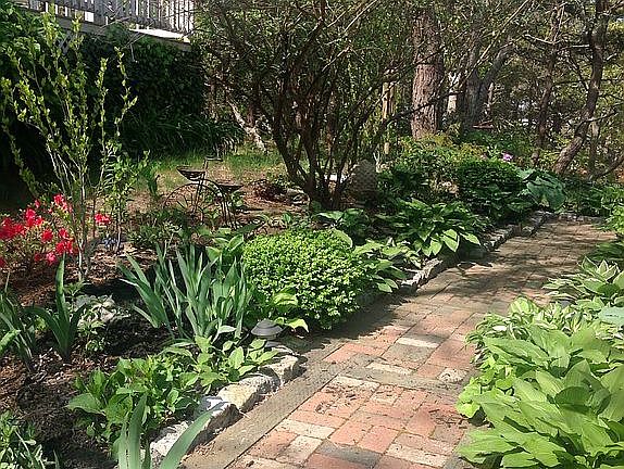 Mature plantings