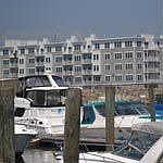 View of Shaw's Landing