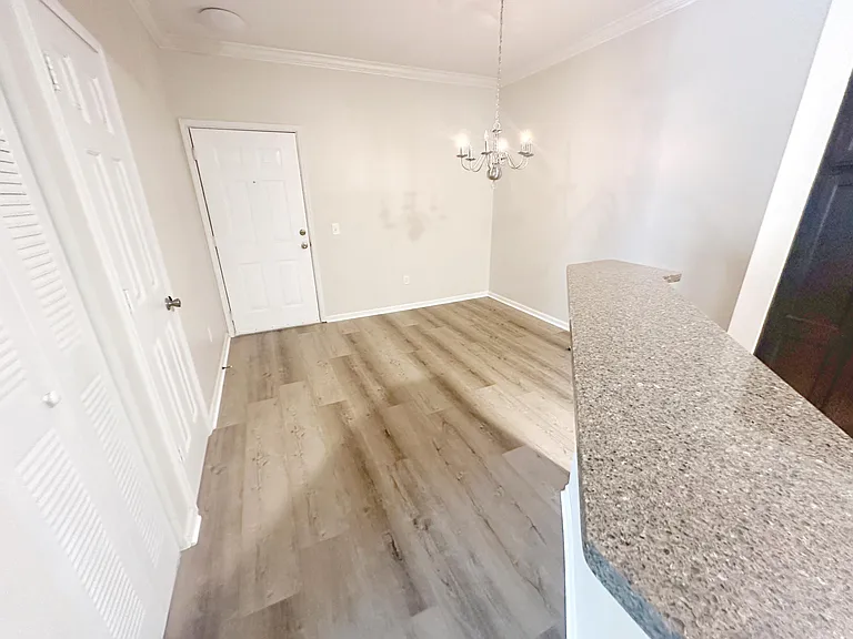1704 Frederica Rd #426 — Photo 4
